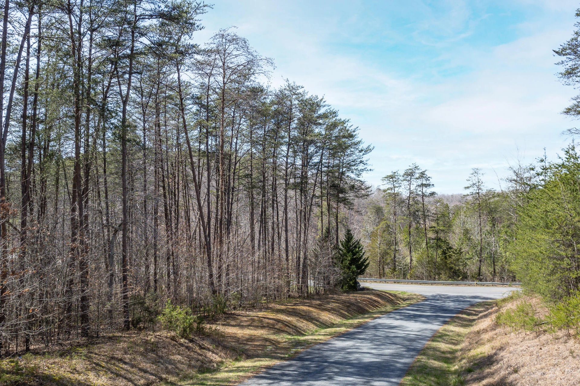 Lot 1 Inlet DR - Photo 4
