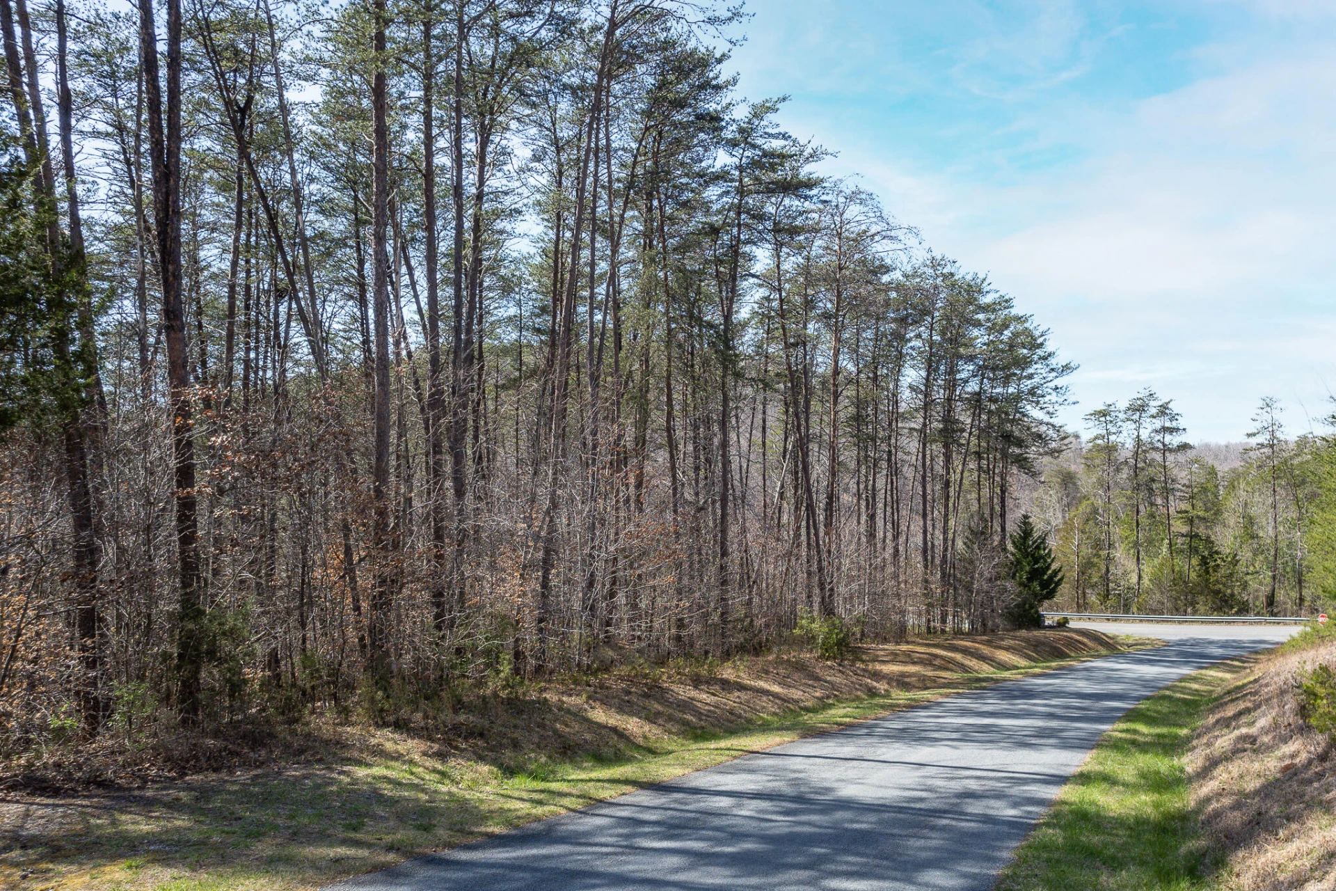 Lot 2 Inlet DR - Photo 3