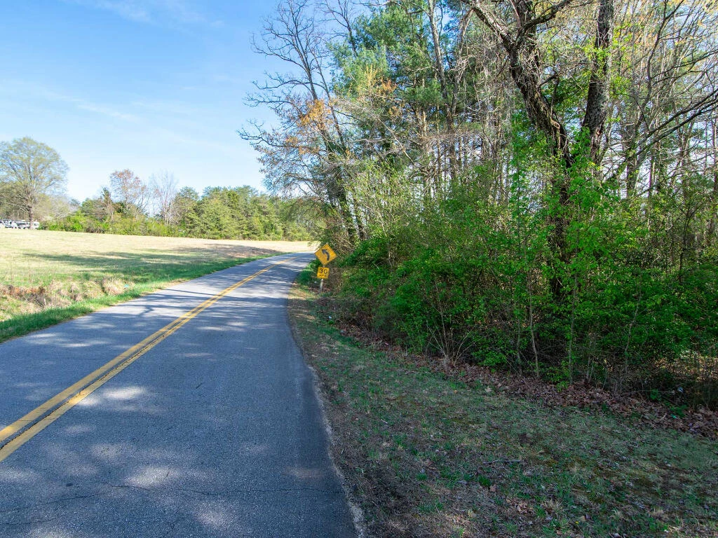 0 Wingfield Orchard RD - Photo 10