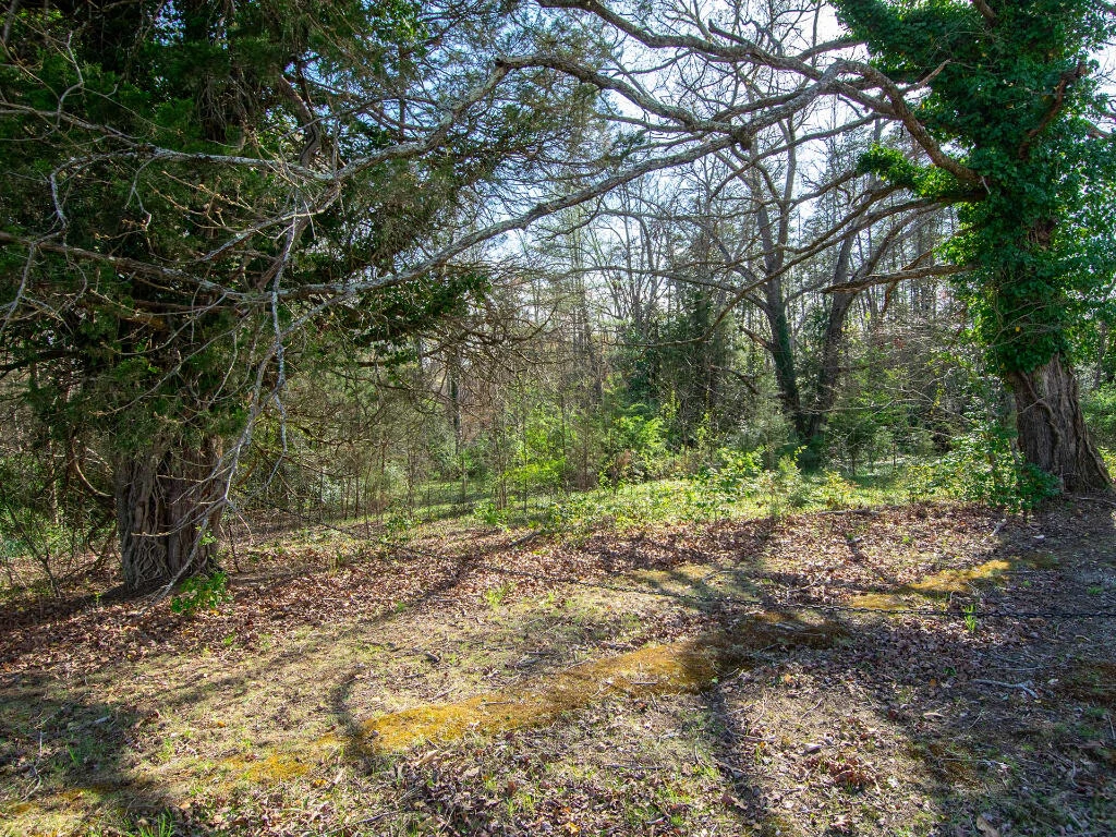 0 Wingfield Orchard RD - Photo 11