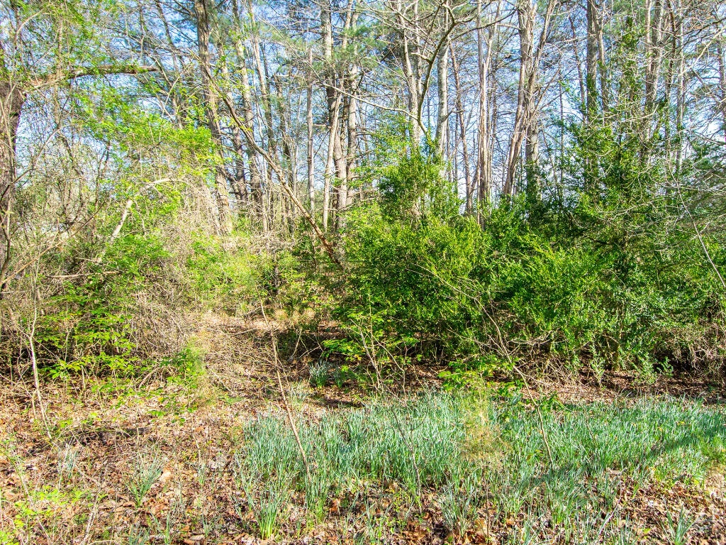 0 Wingfield Orchard RD - Photo 12