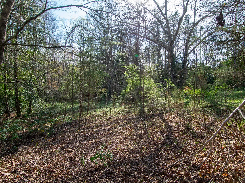 0 Wingfield Orchard RD - Photo 13
