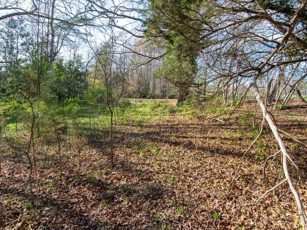 0 Wingfield Orchard RD - Photo 14