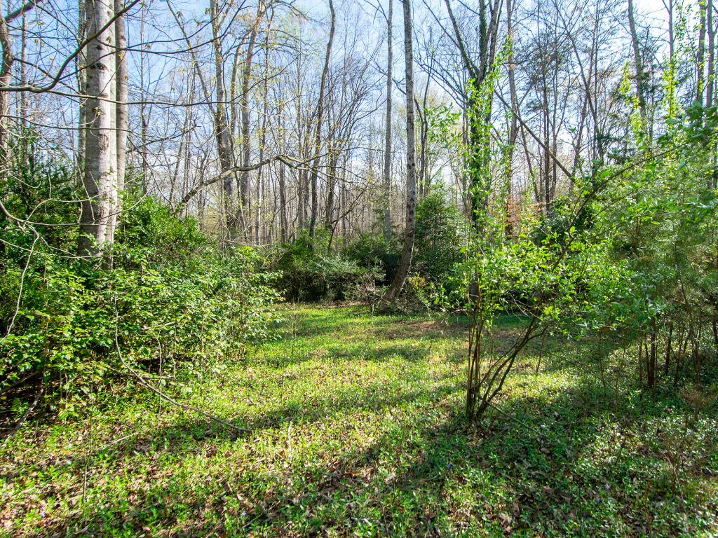 0 Wingfield Orchard RD - Photo 15