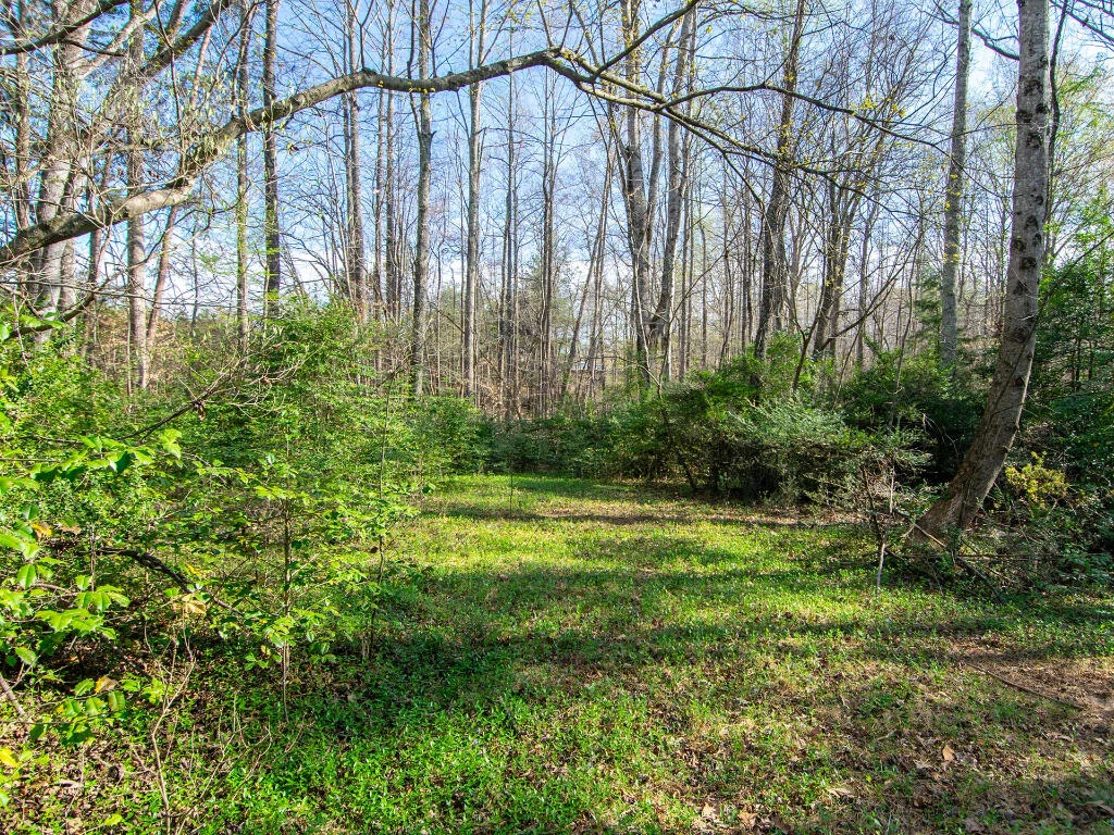 0 Wingfield Orchard RD - Photo 16