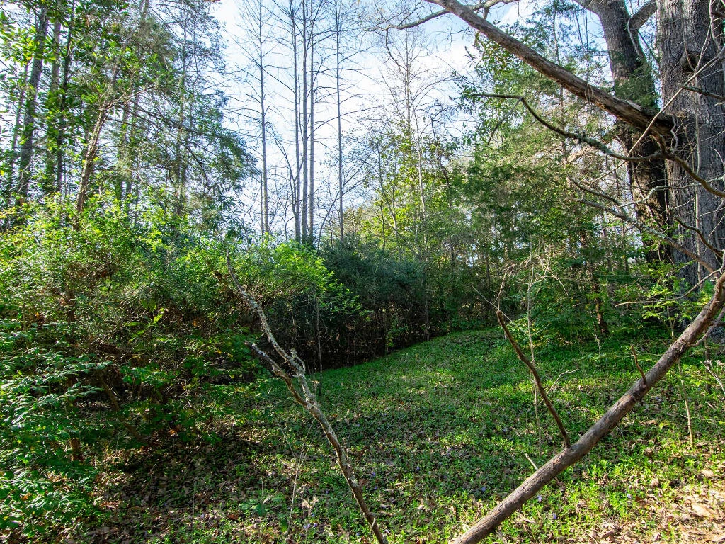 0 Wingfield Orchard RD - Photo 17
