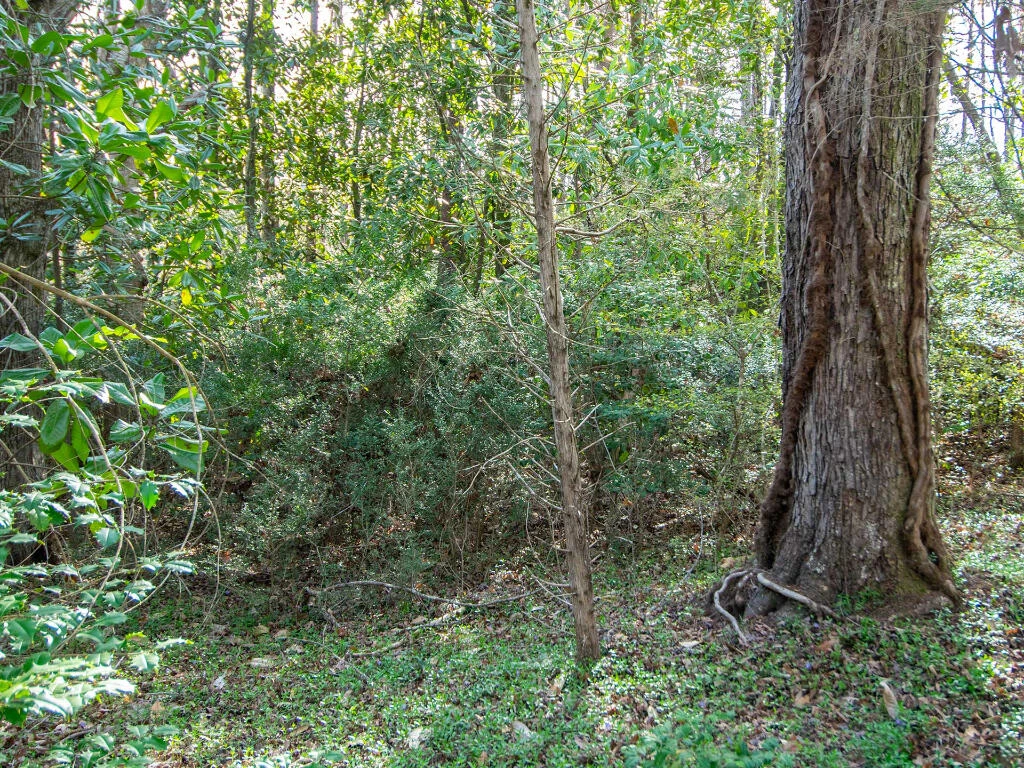 0 Wingfield Orchard RD - Photo 18