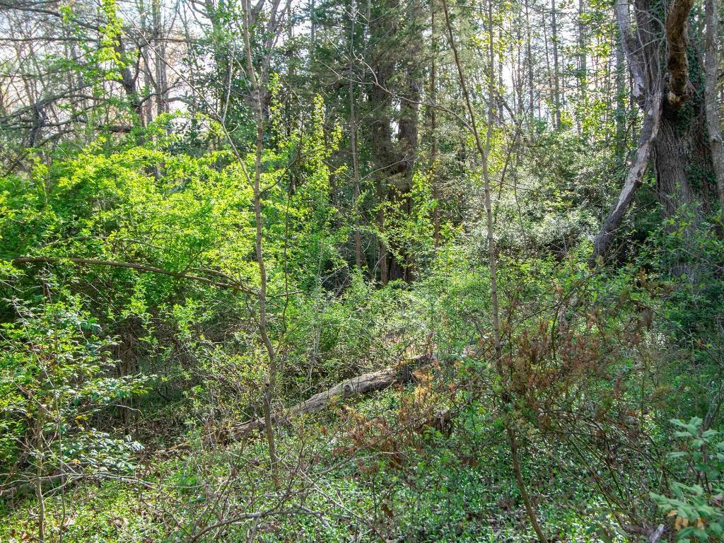 0 Wingfield Orchard RD - Photo 19