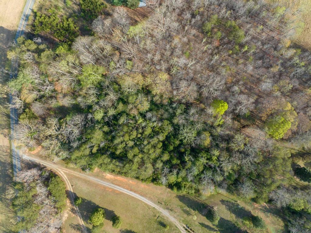 0 Wingfield Orchard RD - Photo 7
