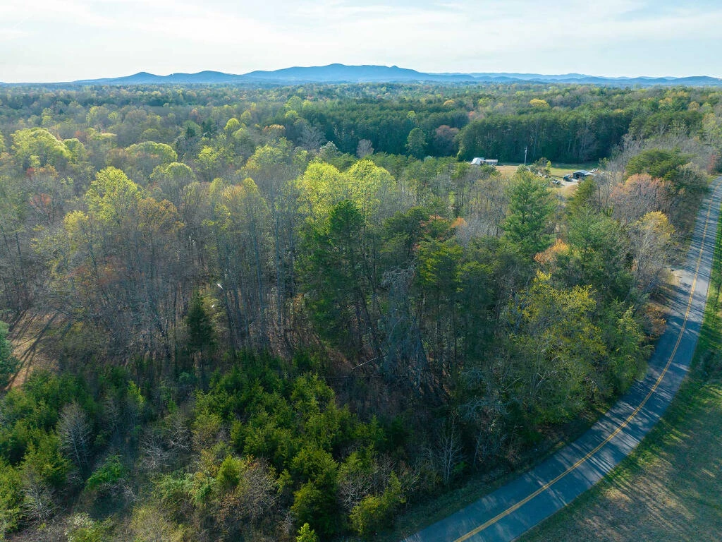 0 Wingfield Orchard RD - Photo 8
