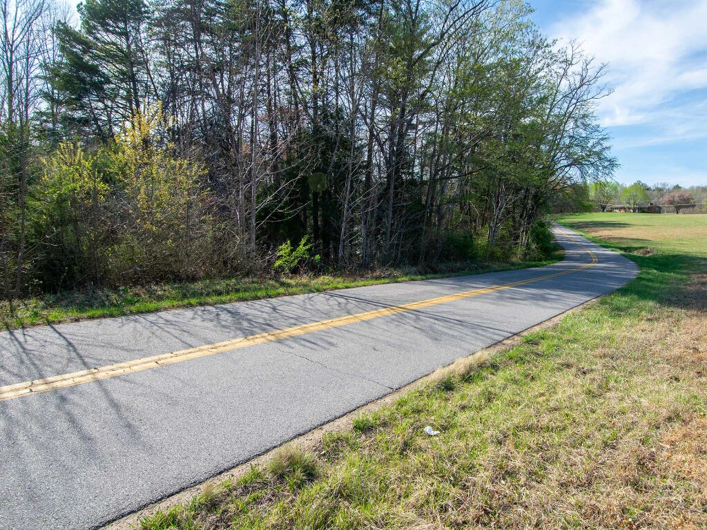 0 Wingfield Orchard RD - Photo 9