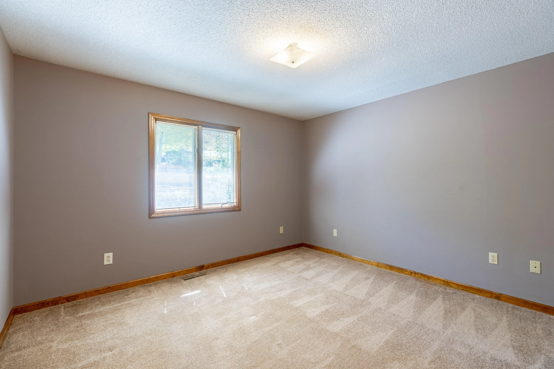 95 Bull Run TRL - Photo 13