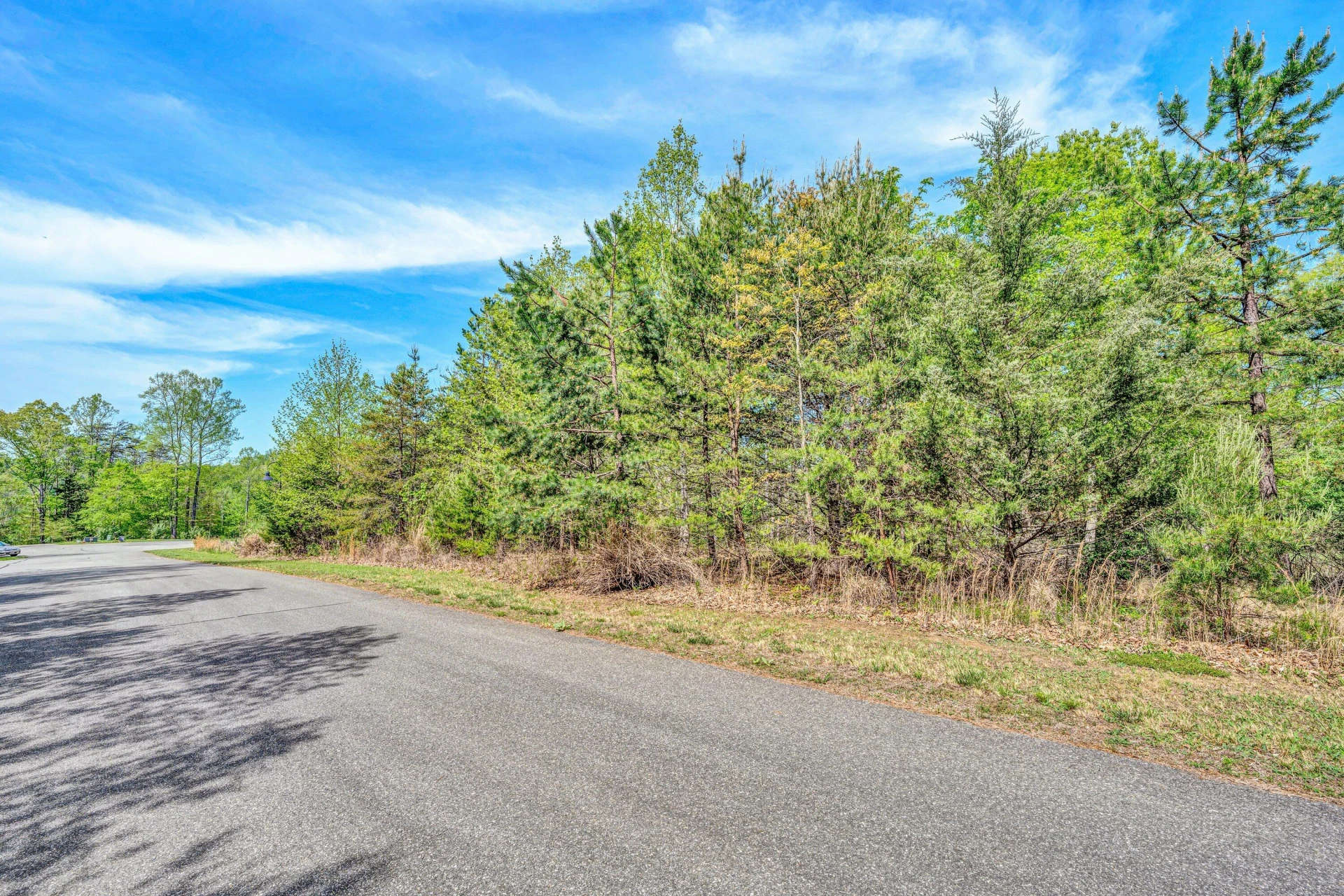 Lot 62 Waterworld Pointe - Photo 12