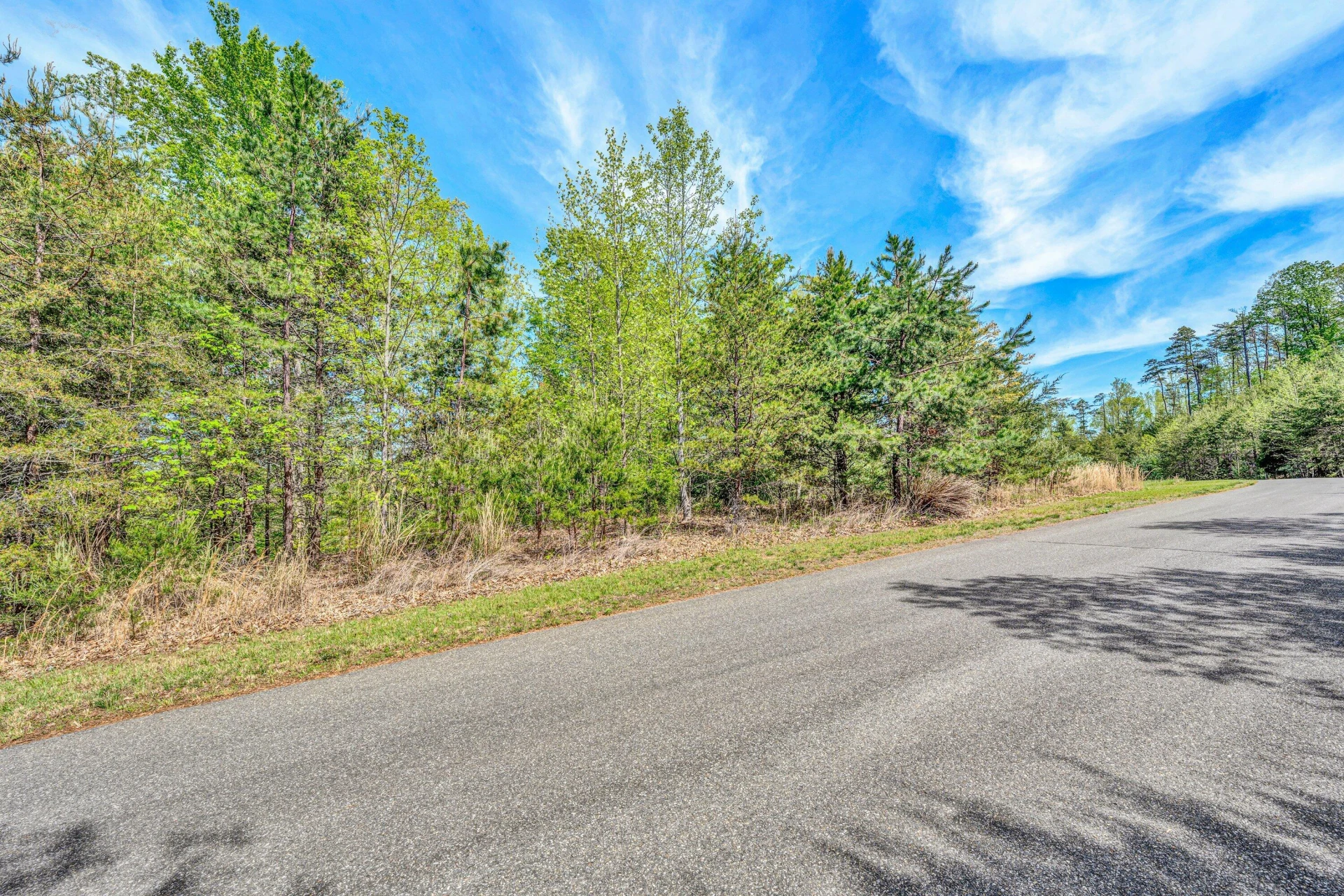 Lot 62 Waterworld Pointe - Photo 13