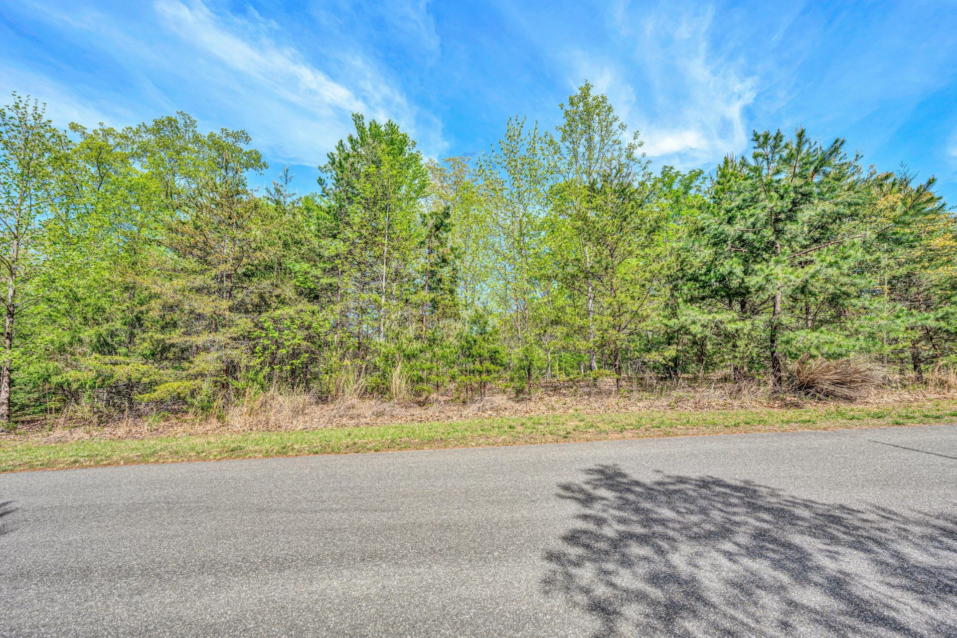 Lot 62 Waterworld Pointe - Photo 14