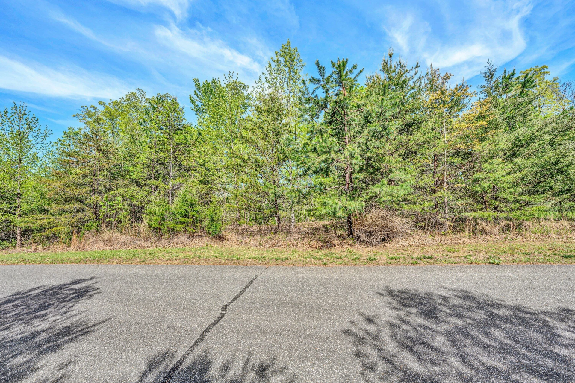 Lot 62 Waterworld Pointe - Photo 15