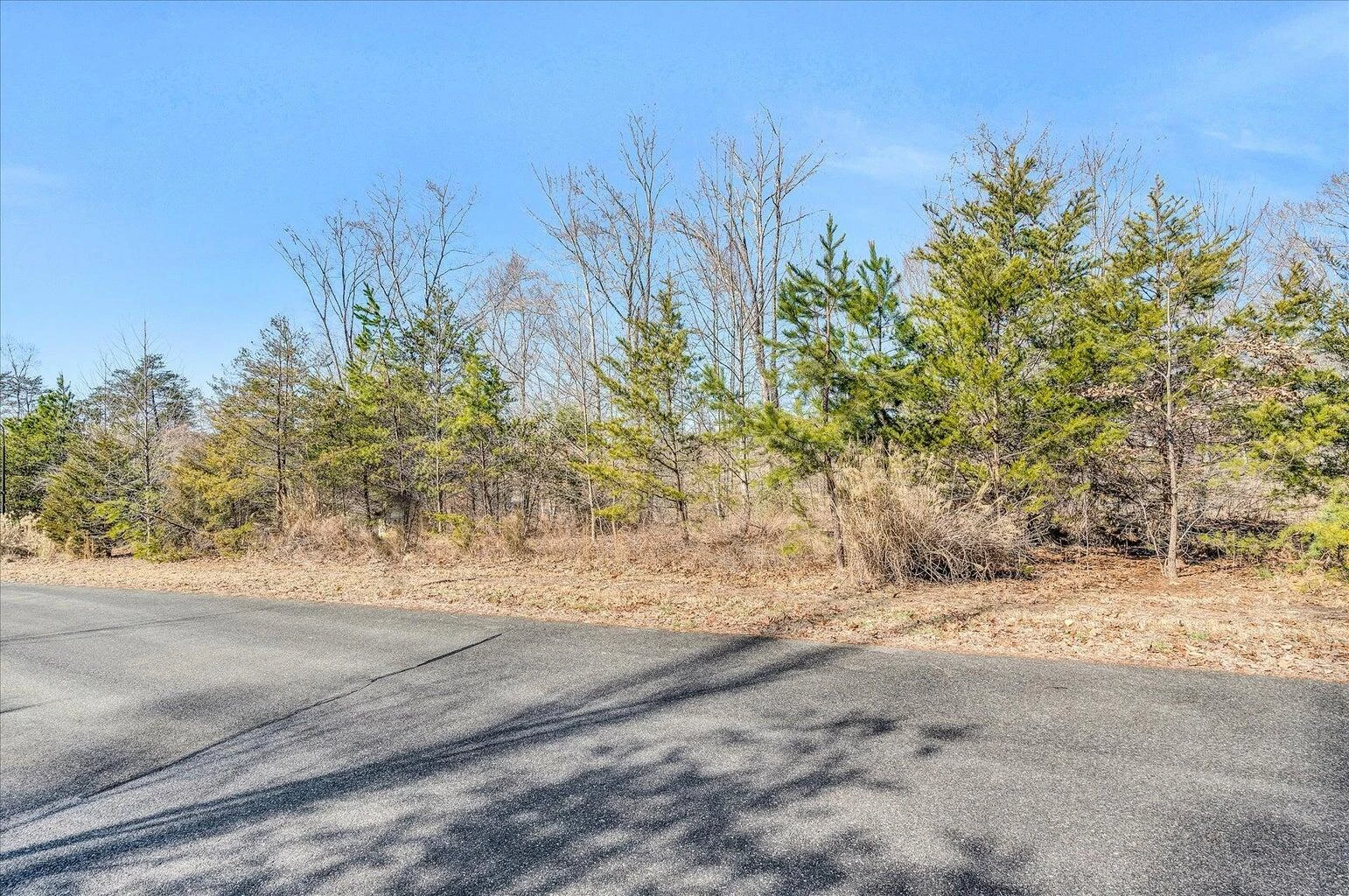 Lot 62 Waterworld Pointe - Photo 8