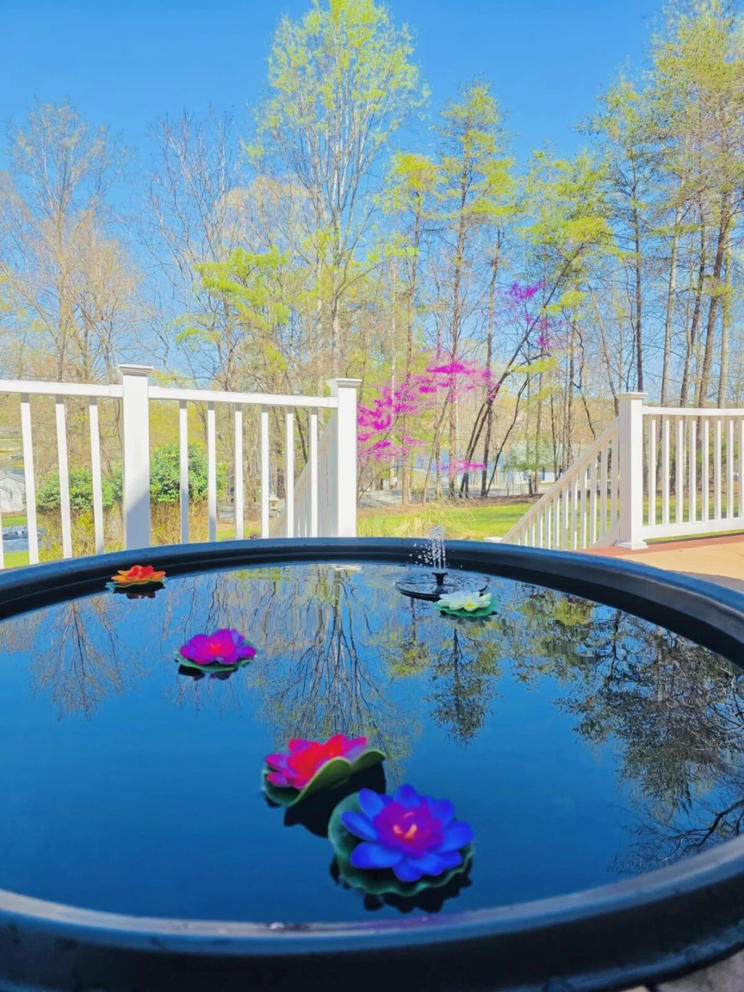 257 Pine Knob CIR - Photo 13