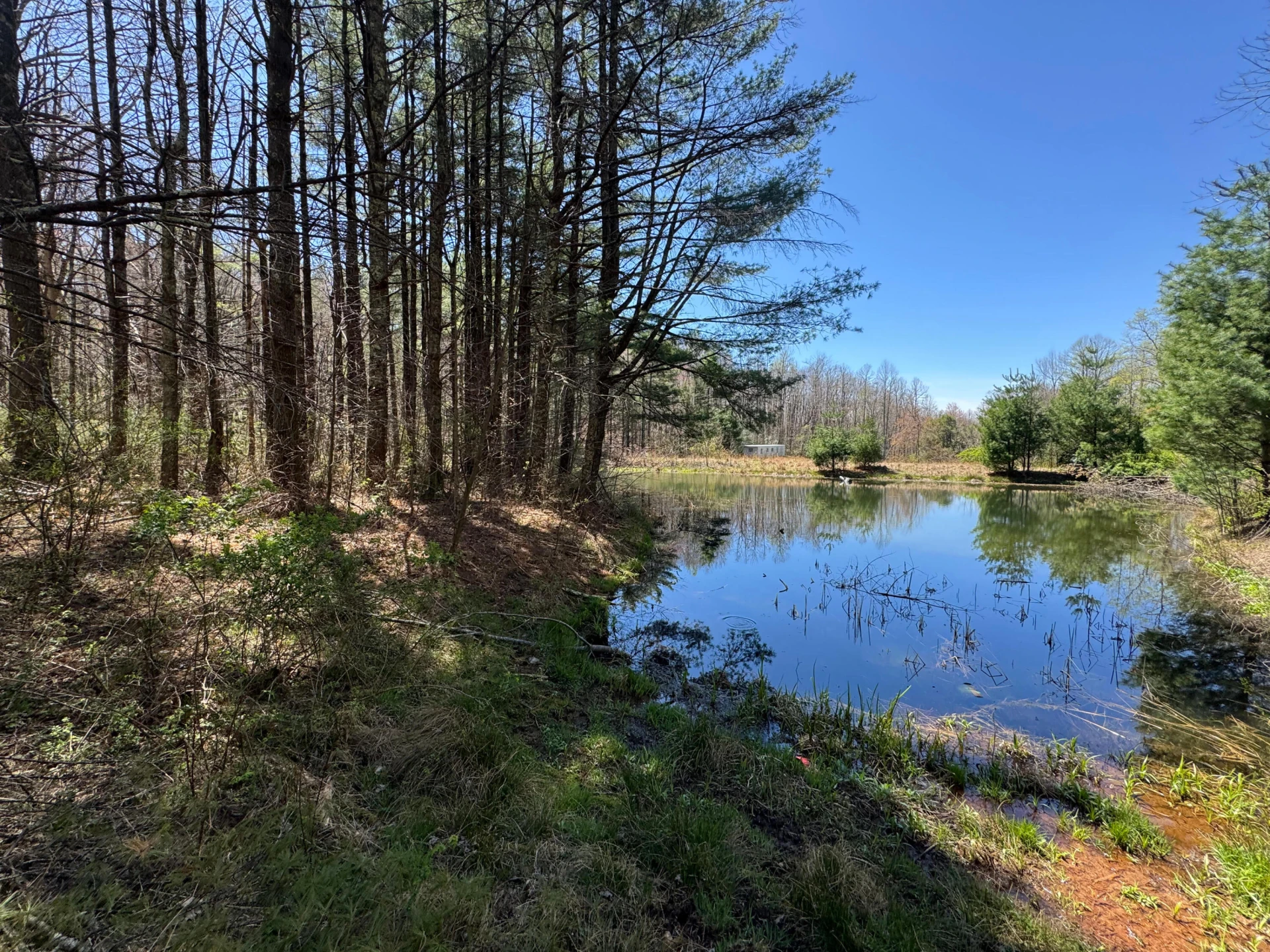 0 Cherry Creek RD - Photo 10