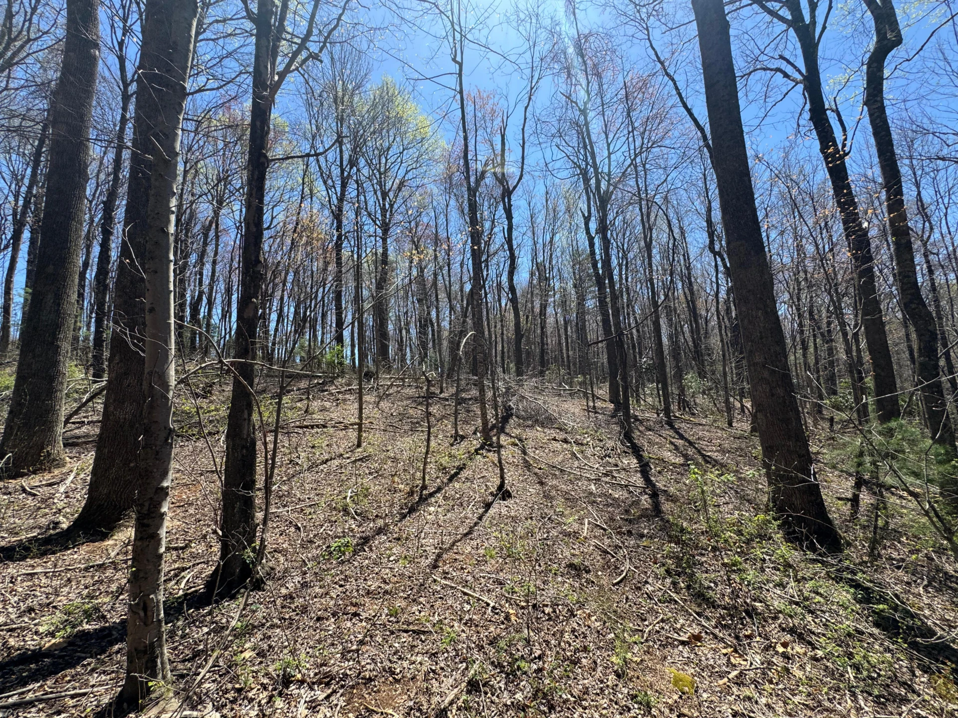 0 Cherry Creek RD - Photo 11