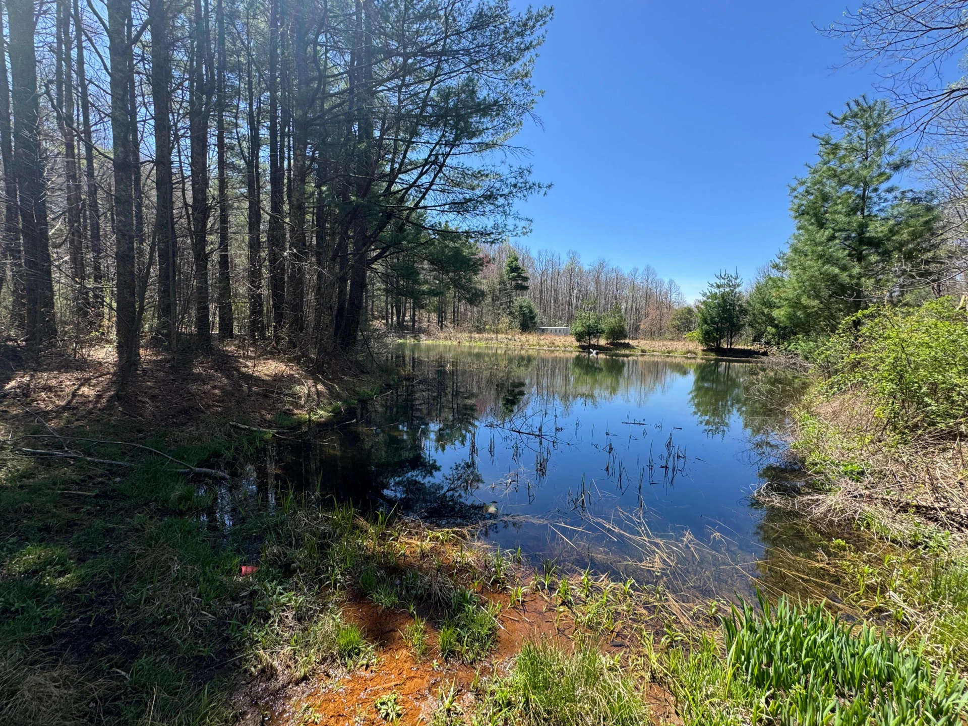 0 Cherry Creek RD - Photo 12