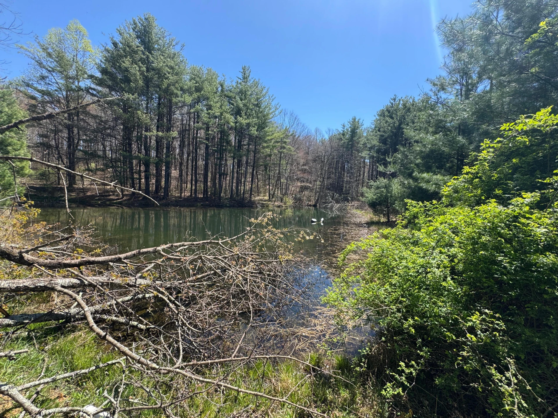 0 Cherry Creek RD - Photo 13