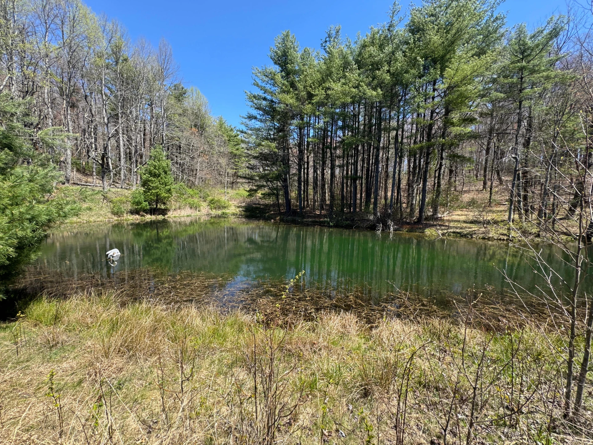 0 Cherry Creek RD - Photo 14