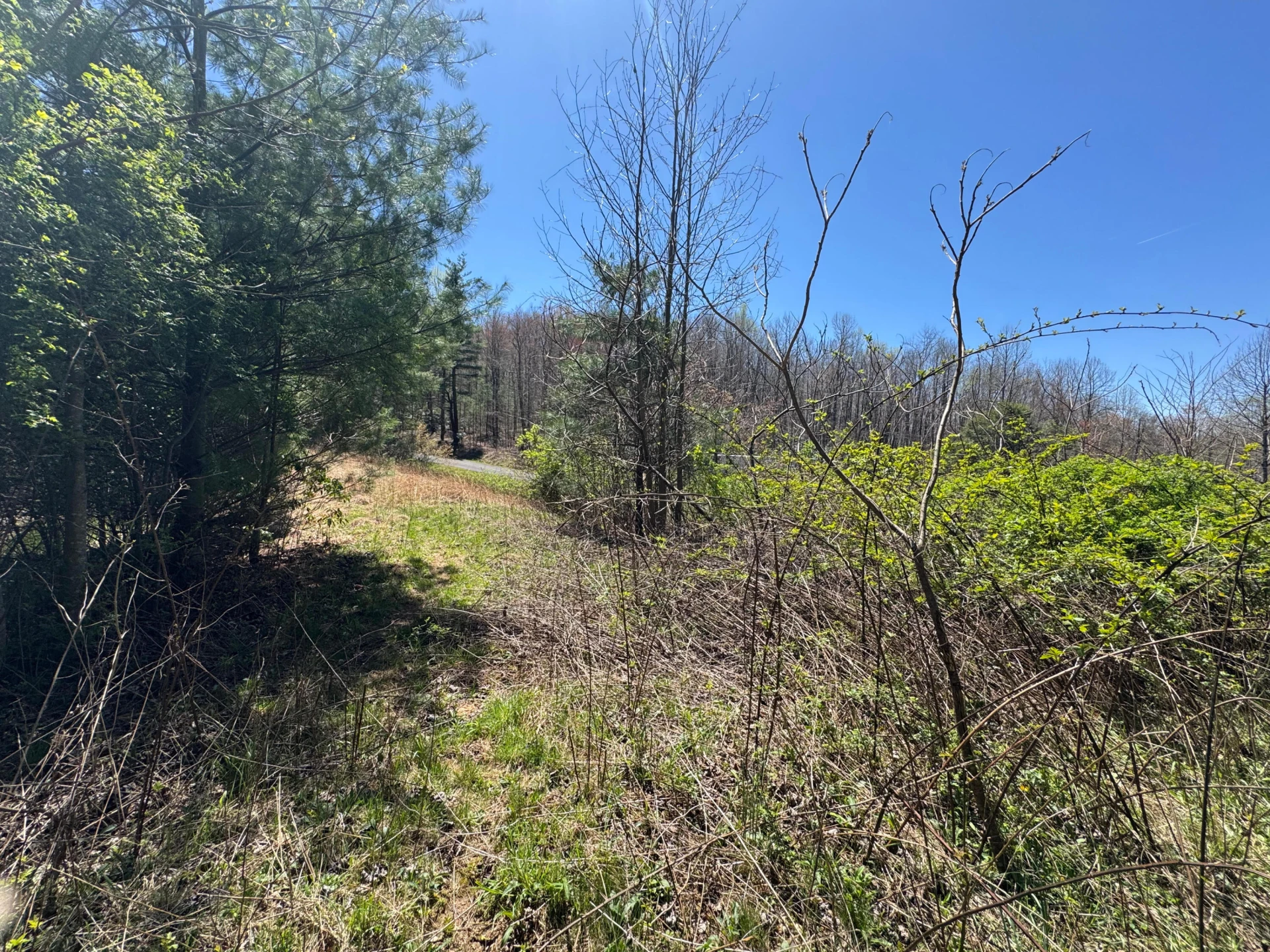 0 Cherry Creek RD - Photo 15