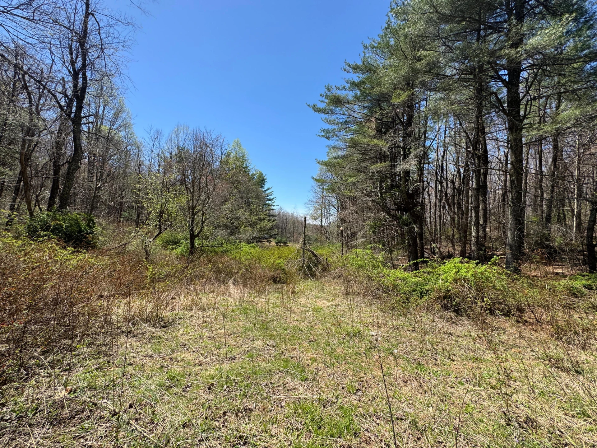 0 Cherry Creek RD - Photo 16