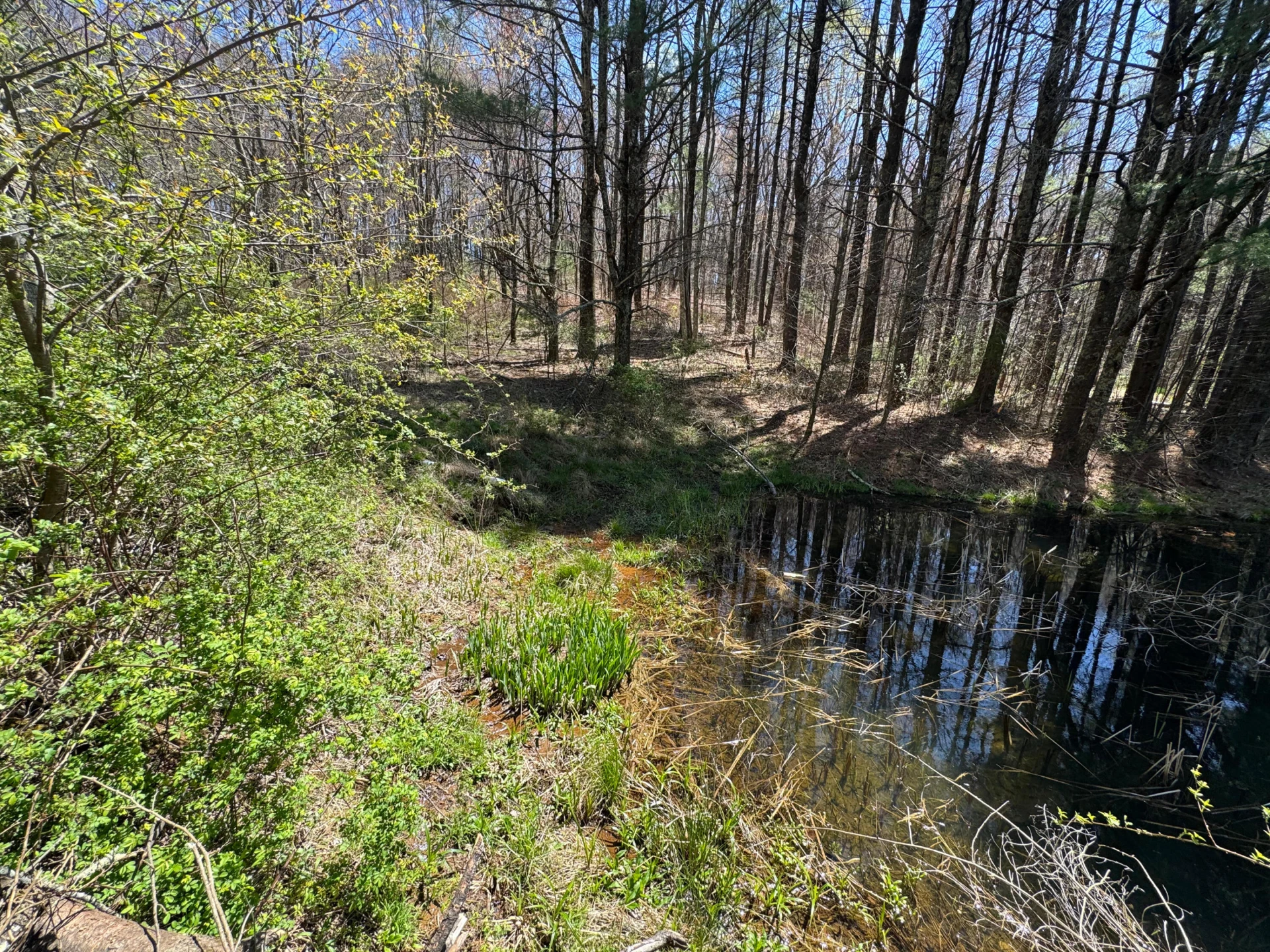 0 Cherry Creek RD - Photo 17
