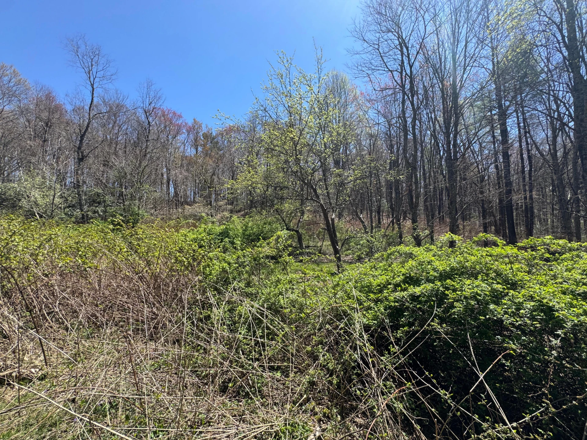 0 Cherry Creek RD - Photo 18