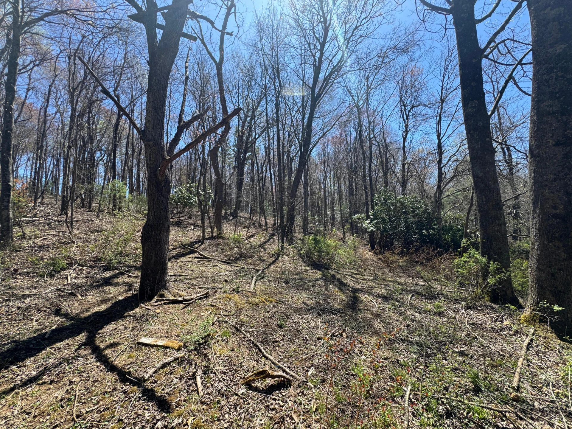 0 Cherry Creek RD - Photo 19