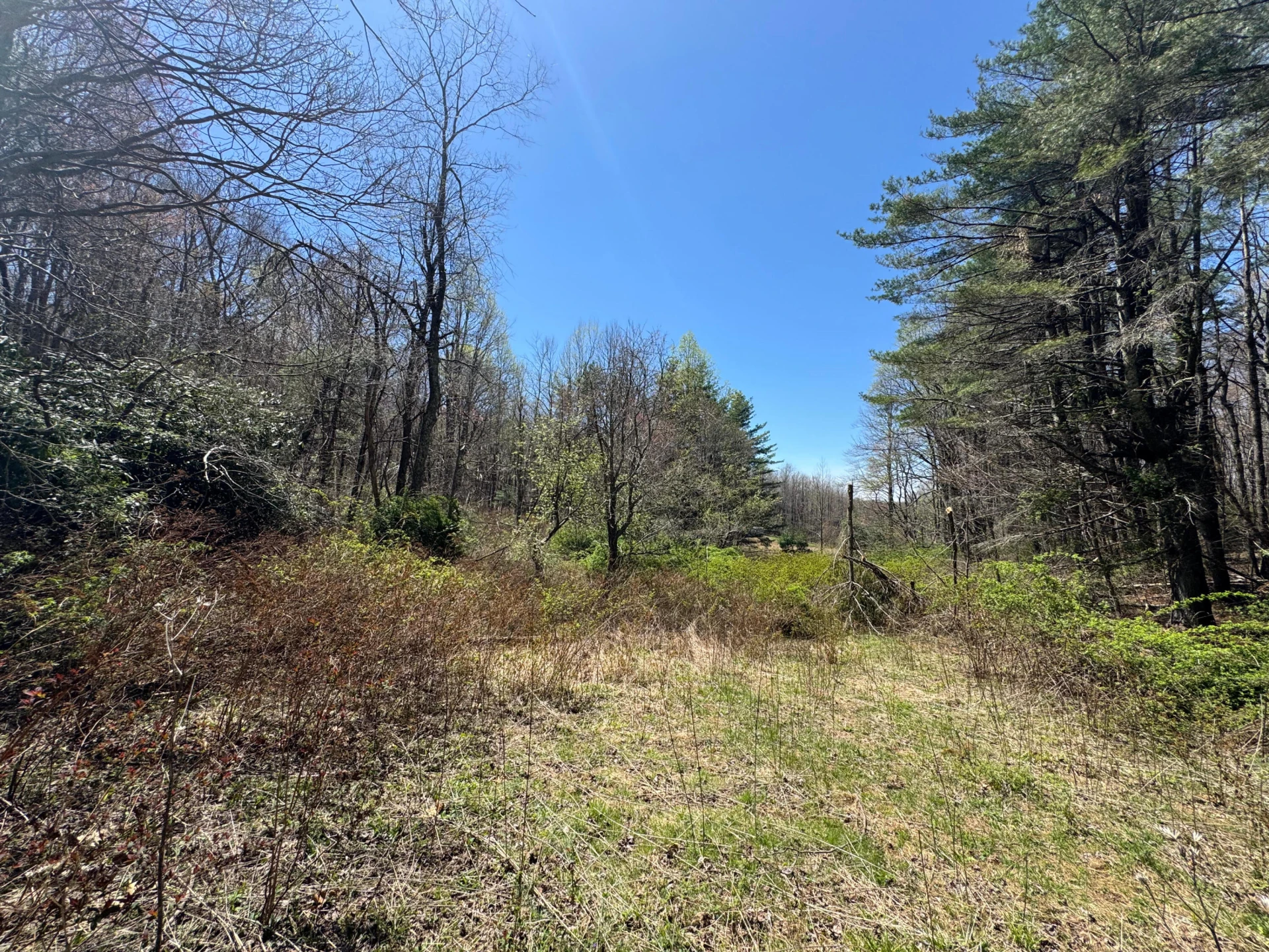 0 Cherry Creek RD - Photo 2