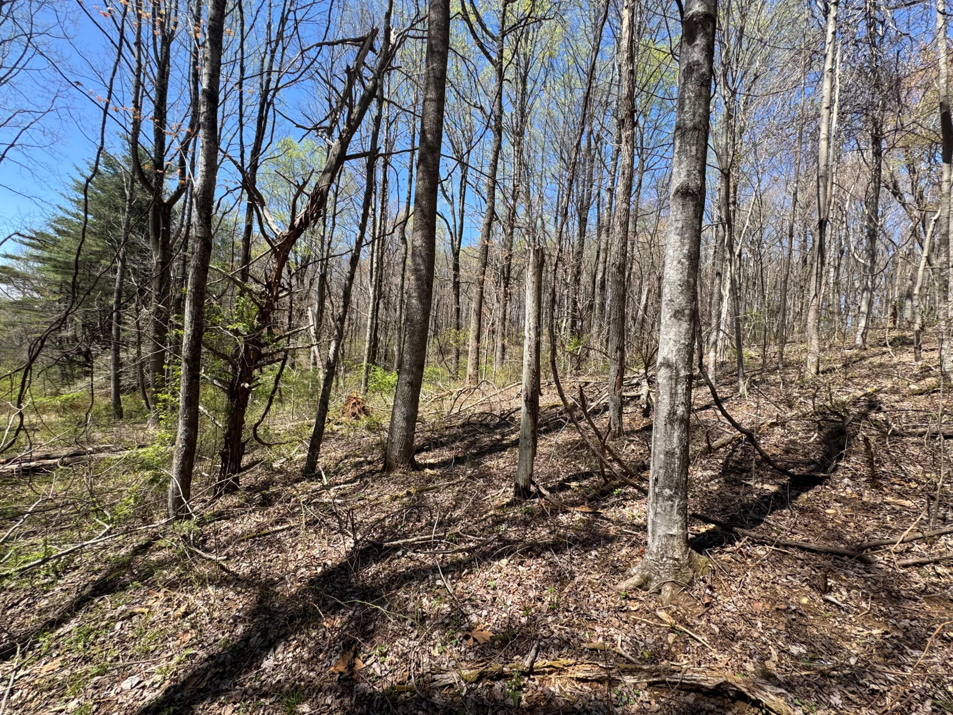 0 Cherry Creek RD - Photo 20