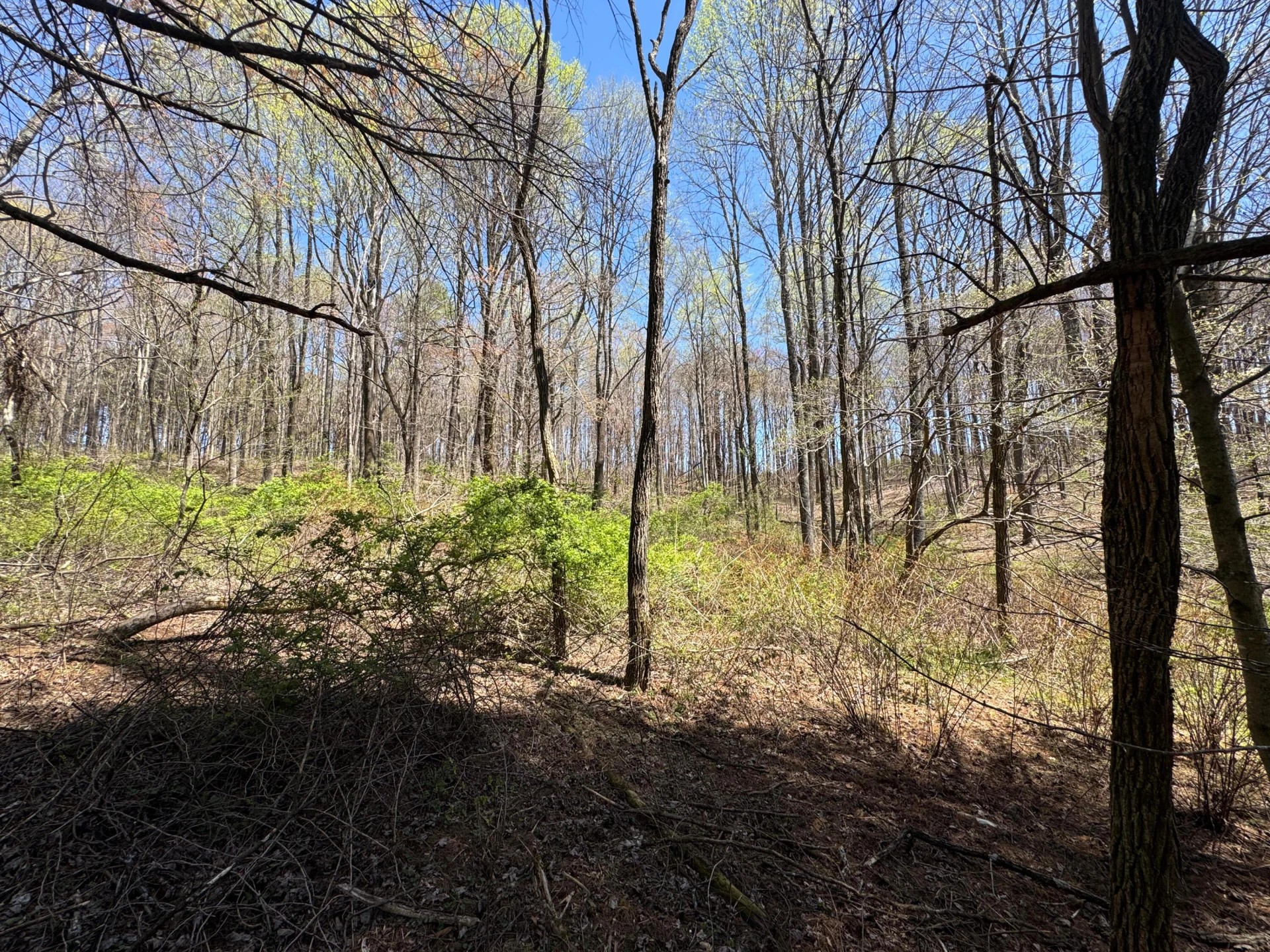 0 Cherry Creek RD - Photo 21