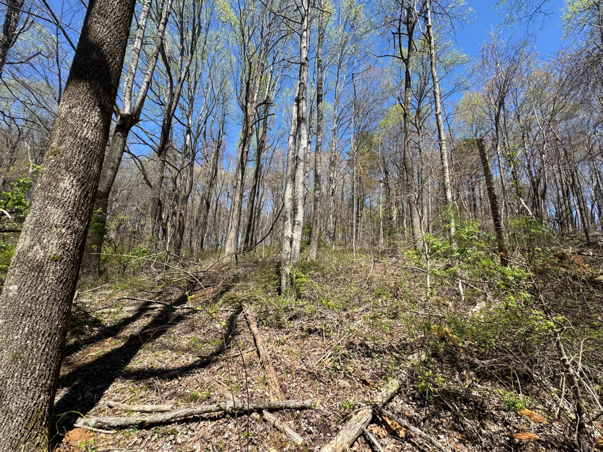 0 Cherry Creek RD - Photo 22