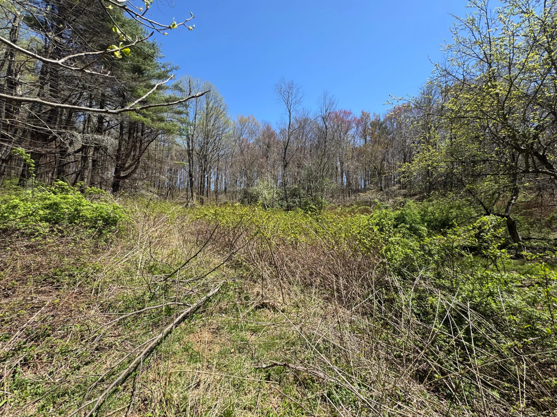 0 Cherry Creek RD - Photo 23