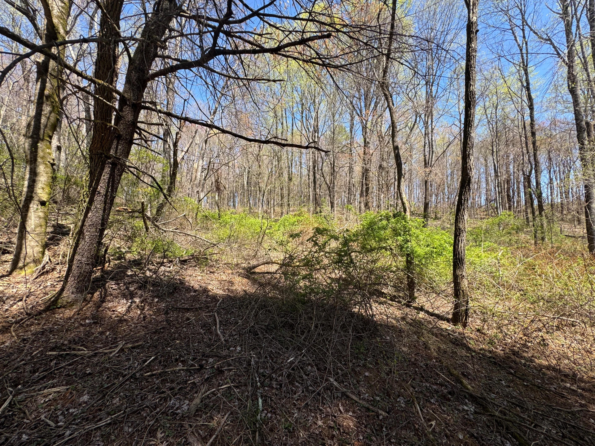 0 Cherry Creek RD - Photo 24