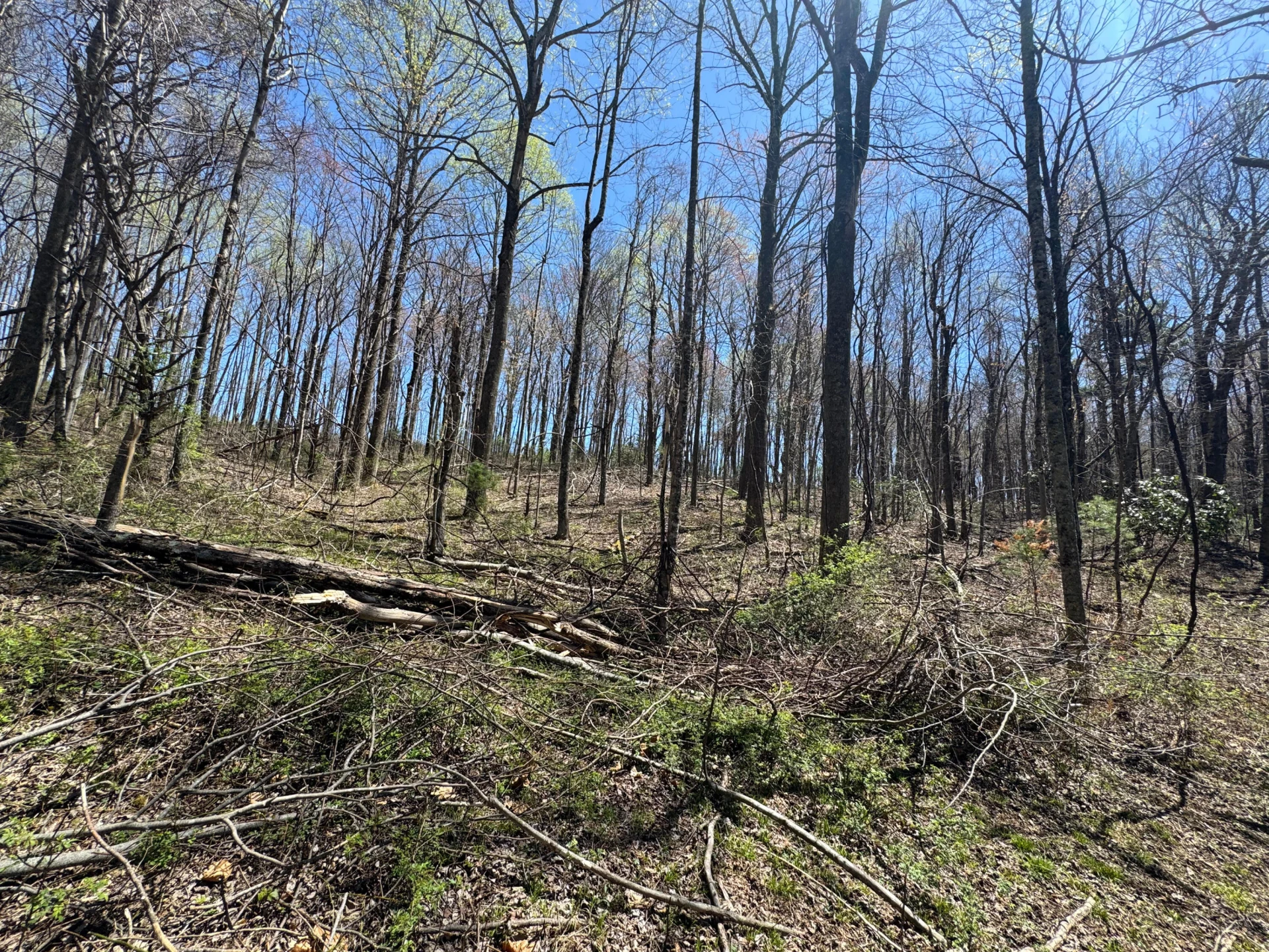 0 Cherry Creek RD - Photo 25