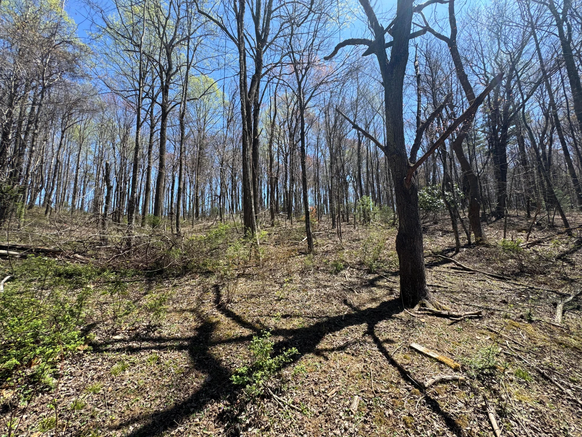 0 Cherry Creek RD - Photo 26