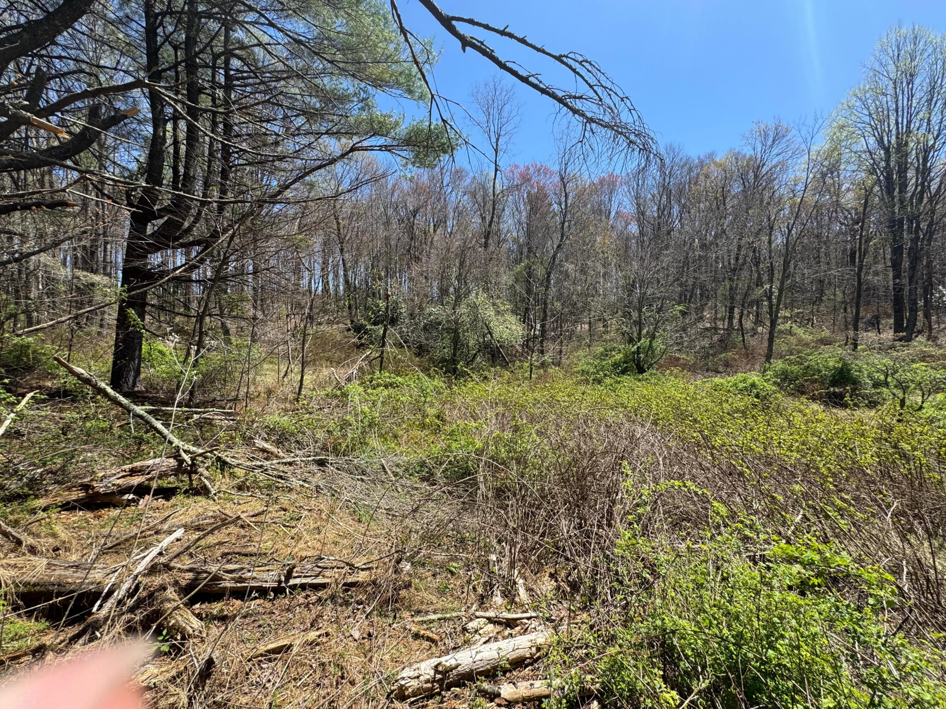 0 Cherry Creek RD - Photo 27