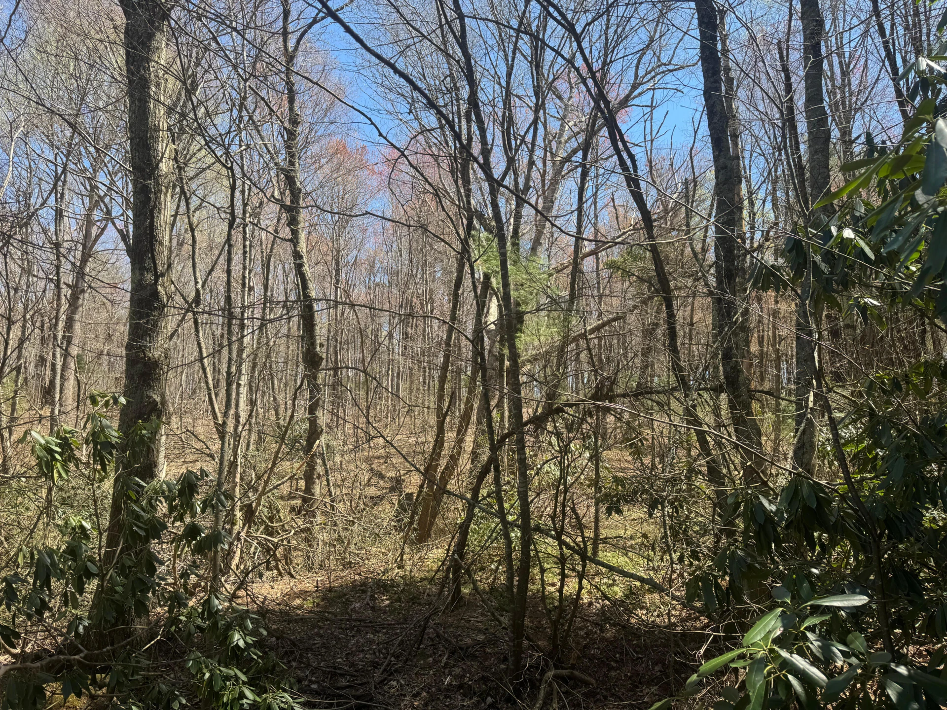 0 Cherry Creek RD - Photo 28