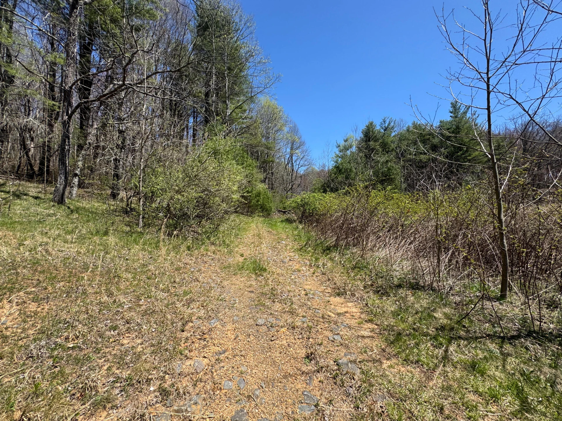 0 Cherry Creek RD - Photo 3