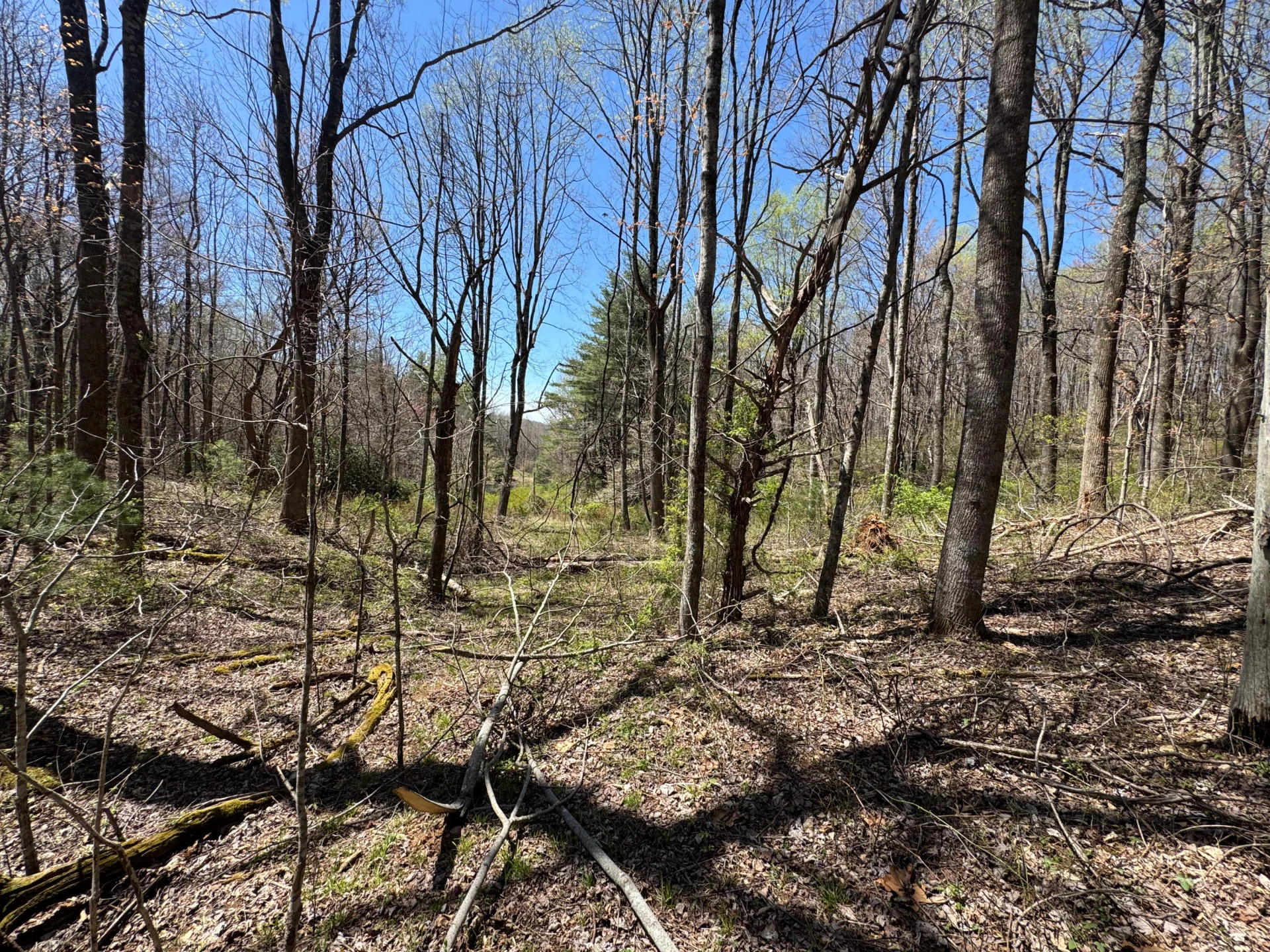 0 Cherry Creek RD - Photo 30