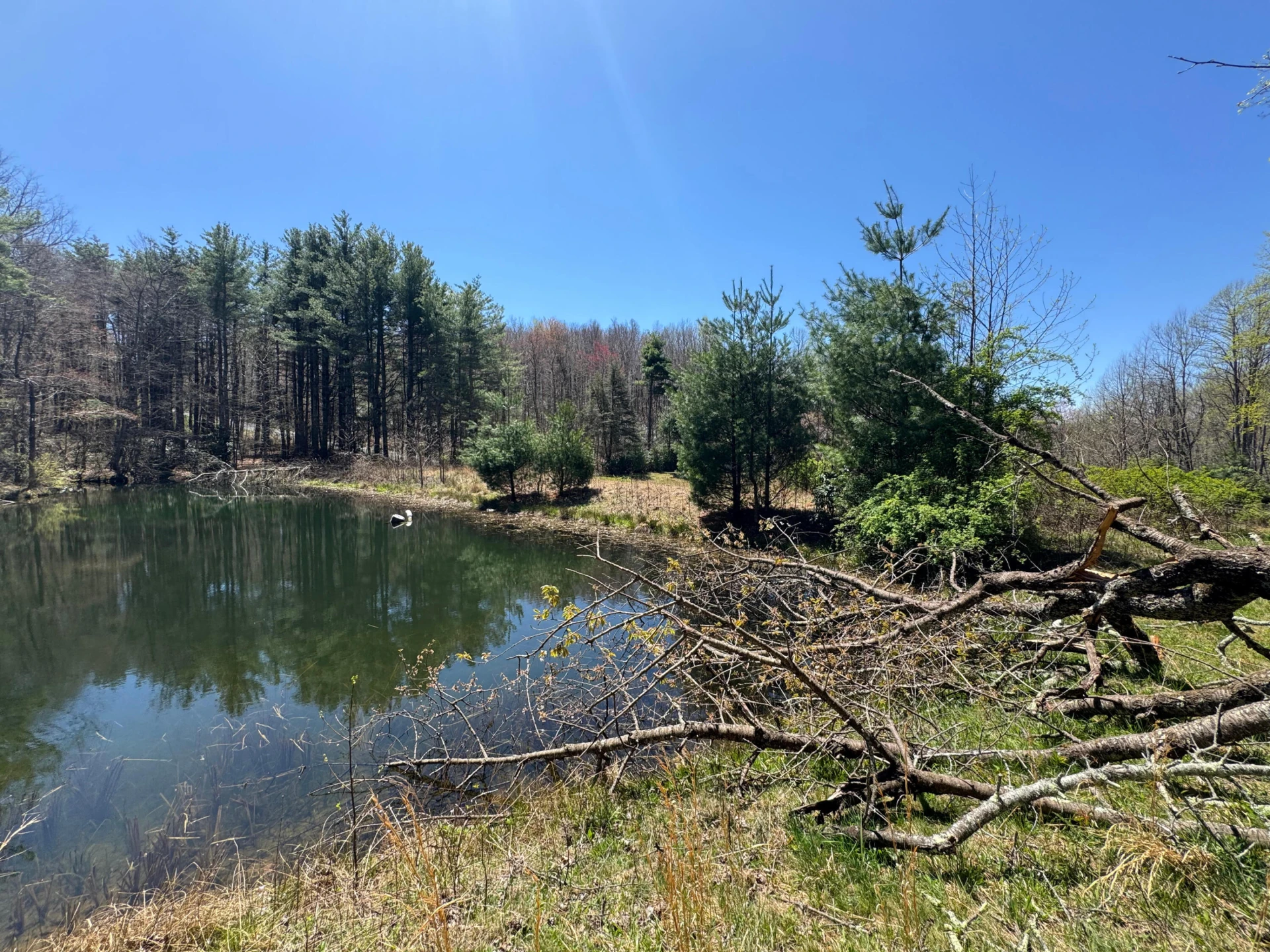 0 Cherry Creek RD - Photo 31