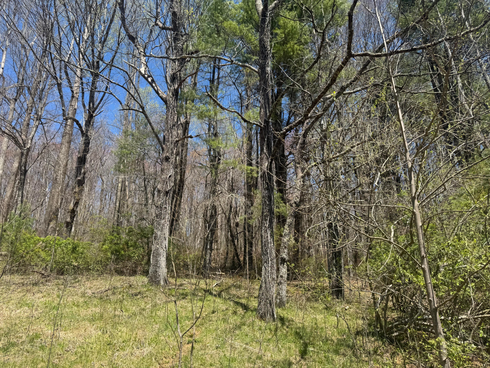 0 Cherry Creek RD - Photo 33