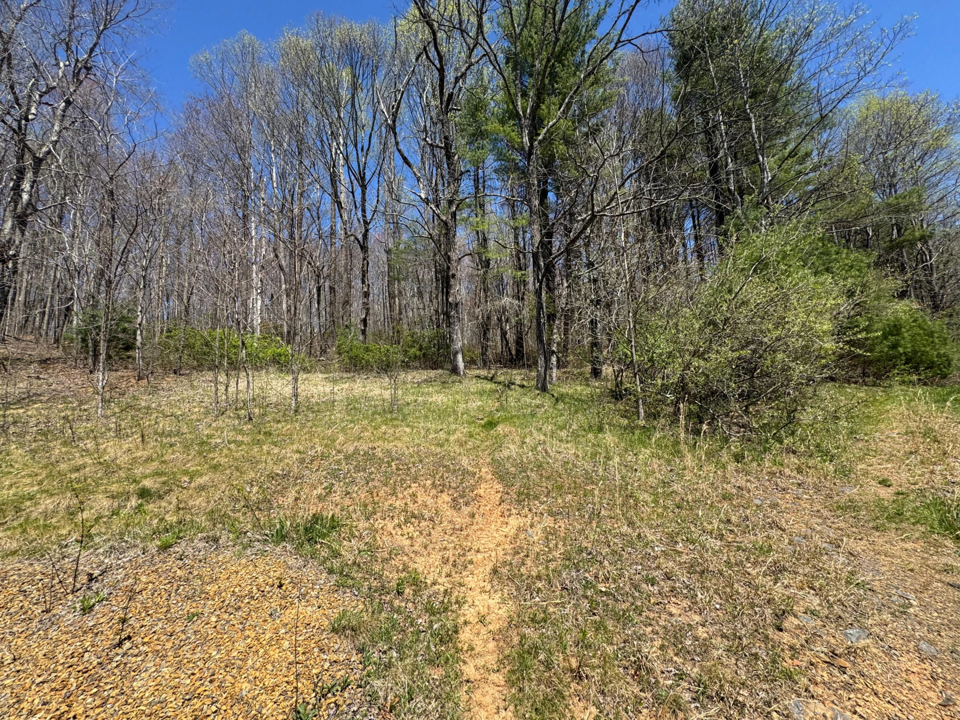 0 Cherry Creek RD - Photo 4