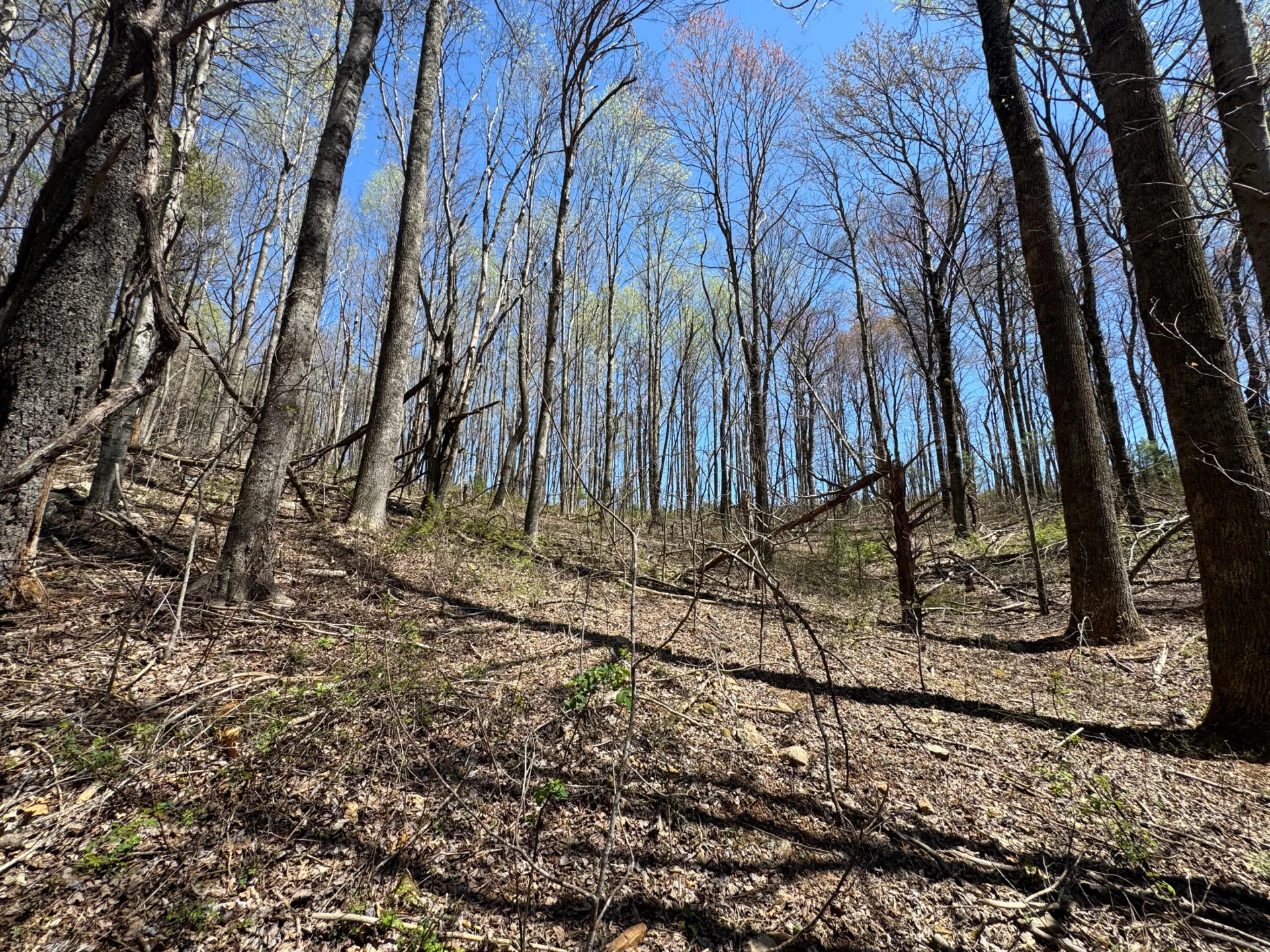 0 Cherry Creek RD - Photo 5