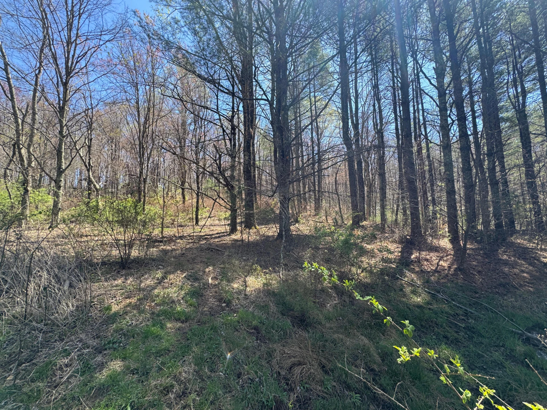 0 Cherry Creek RD - Photo 6