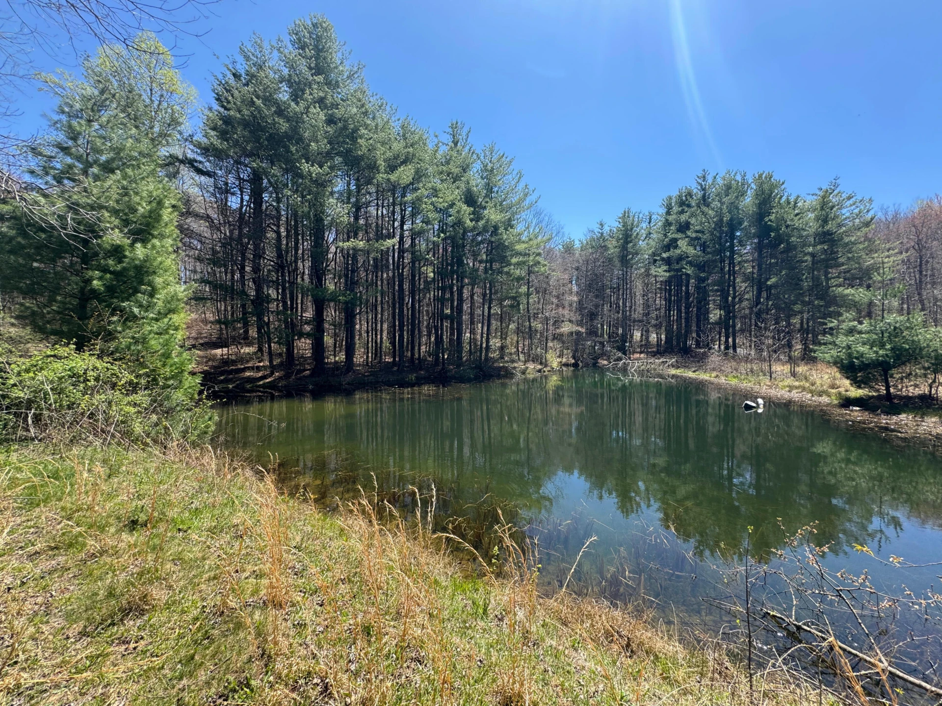 0 Cherry Creek RD - Photo 8